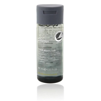 Crème hydratante pour le corps Anyah (216 Flacons de 46 ml)